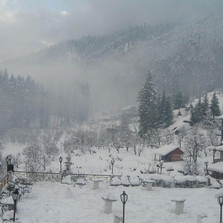 Snow Valley Resorts & Spa Manali Exterior foto