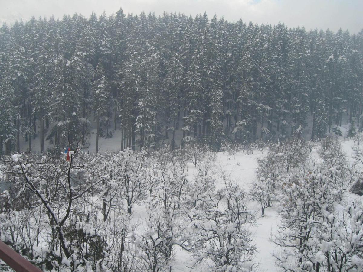 Snow Valley Resorts & Spa Manali Exterior foto